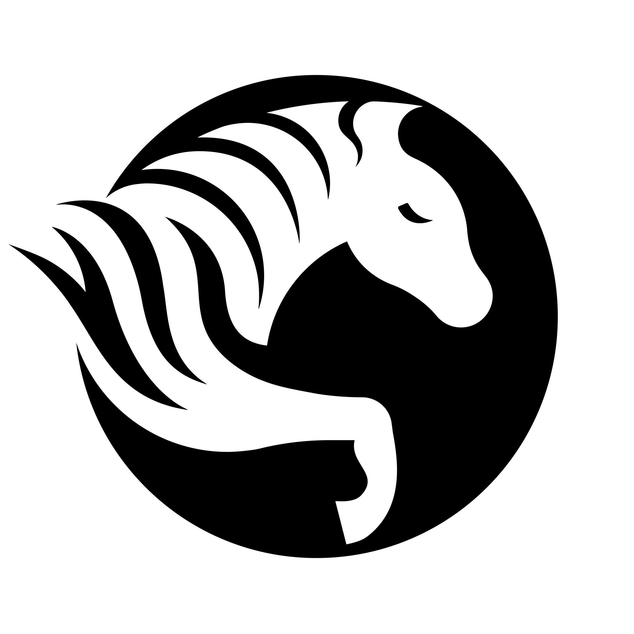 Zebrapapír logo